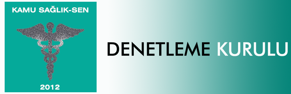 Denetleme Kurulu